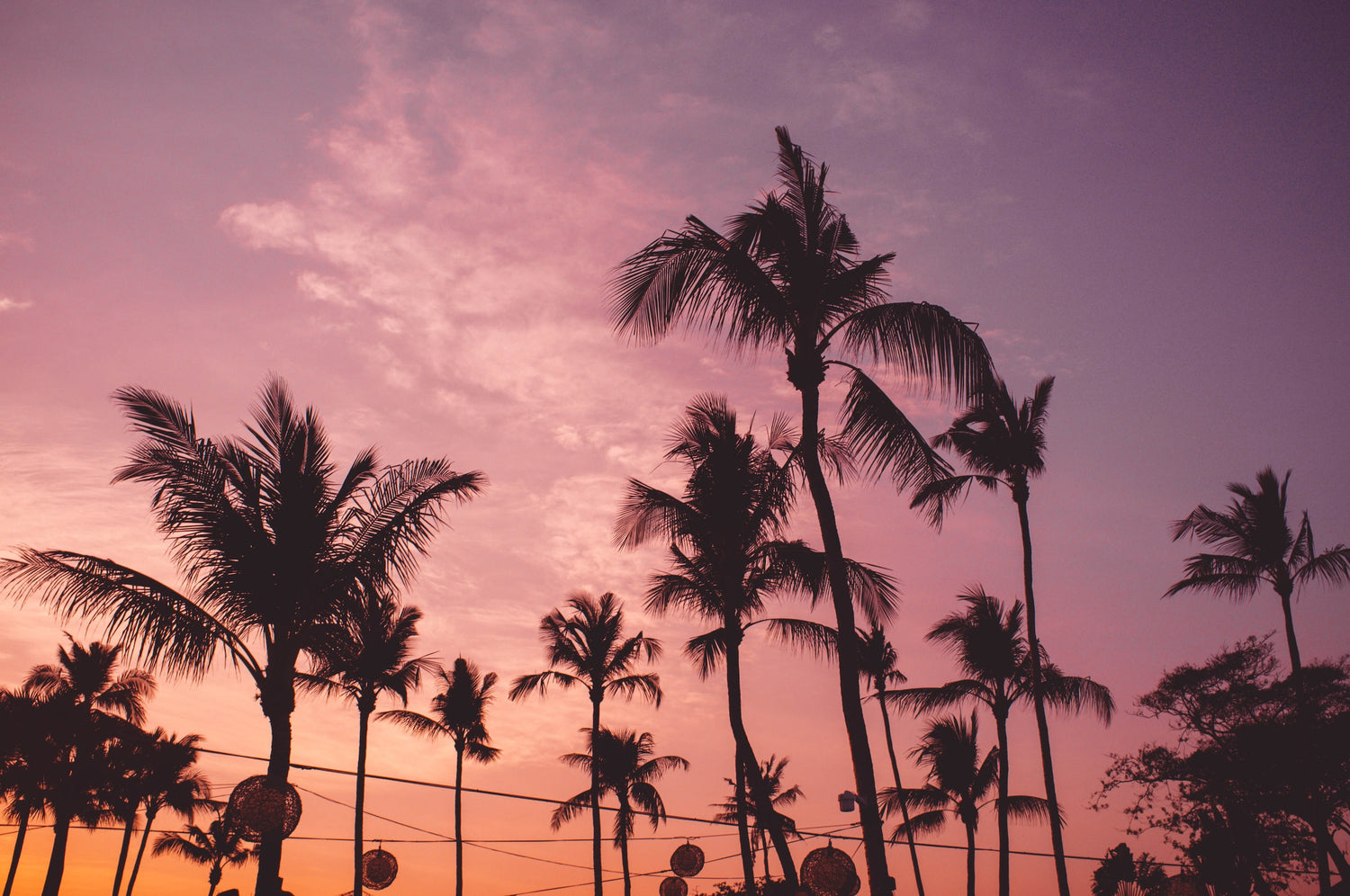 Pastel palm silhouettes. Photo credit Kilarov Zaneit at https://unsplash.com/@kilarov345